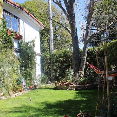 Stylish Mediterranean Villa, Pool, Jacuzzi, Hollywood & Malibu Bliss Los Angeles Ngoại thất bức ảnh